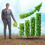 modelo de negocio sostenible​